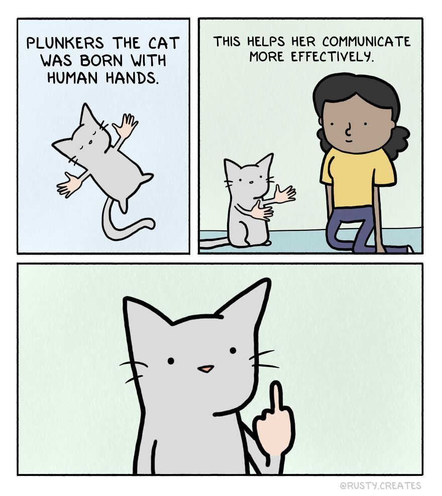 Plunkers-the-Cat