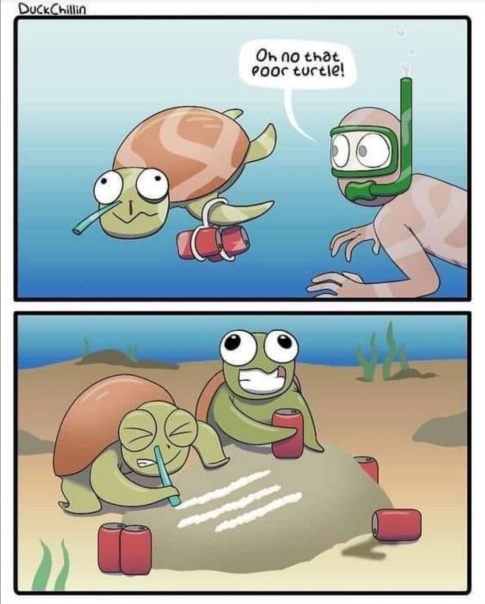 Poor-Turtle-on-Drugs