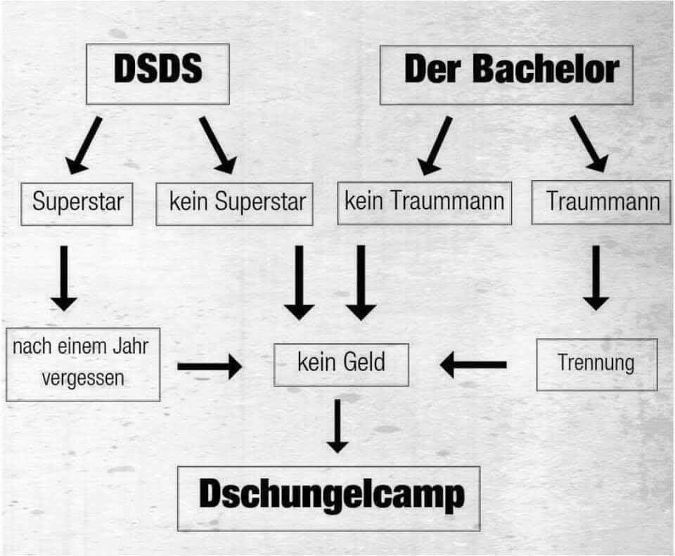 DSDS-Der-Bachelor-und-das-Dschungelcamp