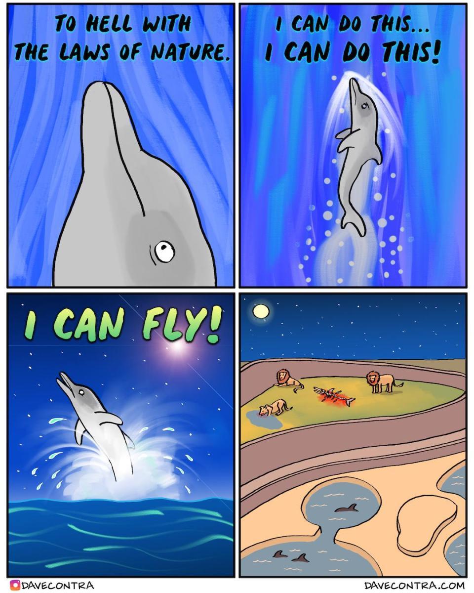 I-can-Fly-Delfin-Meme