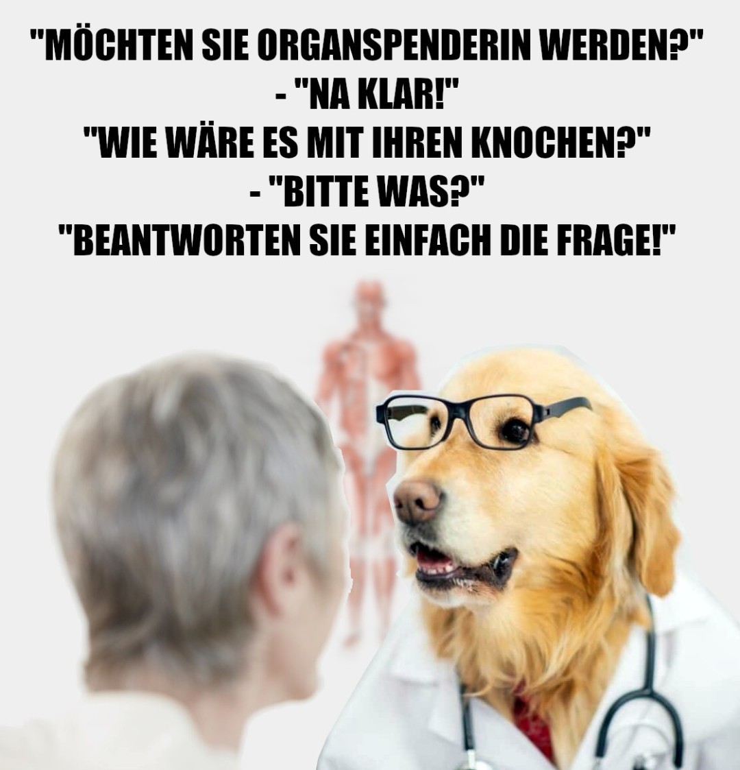 Organspender-Knochen-Doktor-Hund