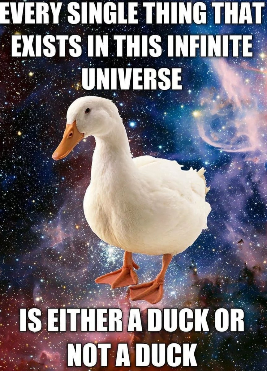 Duck-Universe-Meme