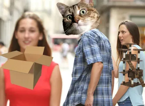 Distracted-Boyfriend-Cat-Meme