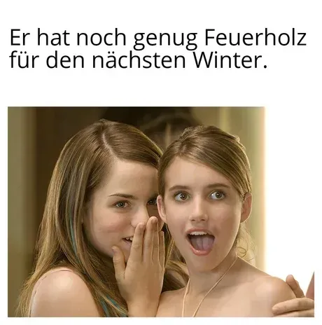 Genug-Feuerholz-fuer-den-naechsten-Winter-Meme