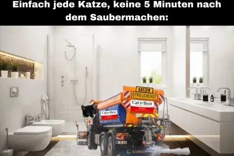 Katze-nach-dem-Saubermachen