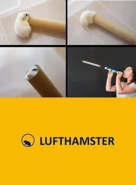 Lufthamster