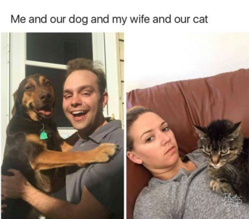 Me-and-our-Dog-My-Wife-and-our-Cat