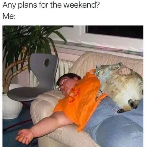 Plans-for-the-Weekend-Meme