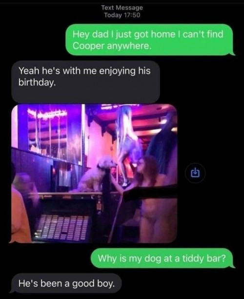 Hund-im-Stripclub