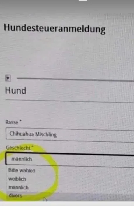 Hundesteueranmeldung