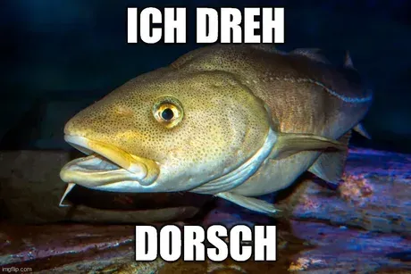 Ich-dreh-Dorsch