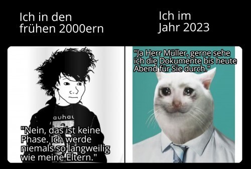 Ich-frueher-Ich-Heute-Meme