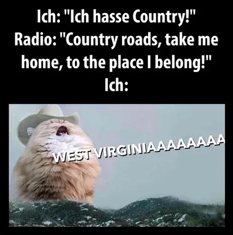 Ich-hasse-Country-Meme