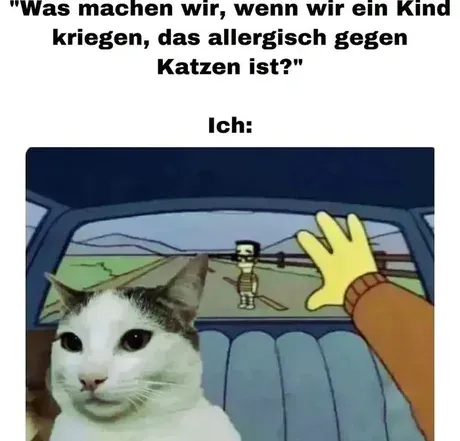 Kind-allergisch-gegen-Katzen-Meme