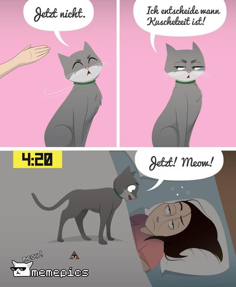 Katze-Kuschelzeit-Meme