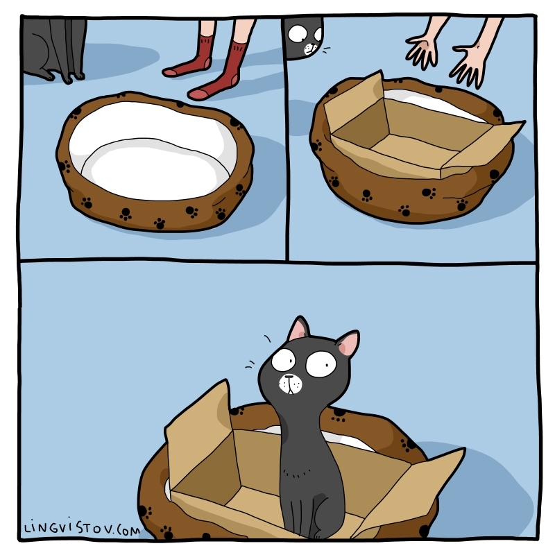 Katzen-lieben-Kartons