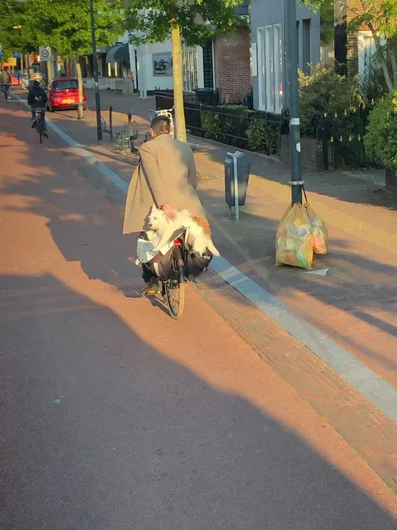 Mann-mit-Hund-auf-dem-Fahrradwebp