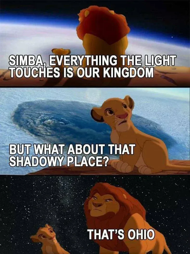 Simba-Meme-the-Light