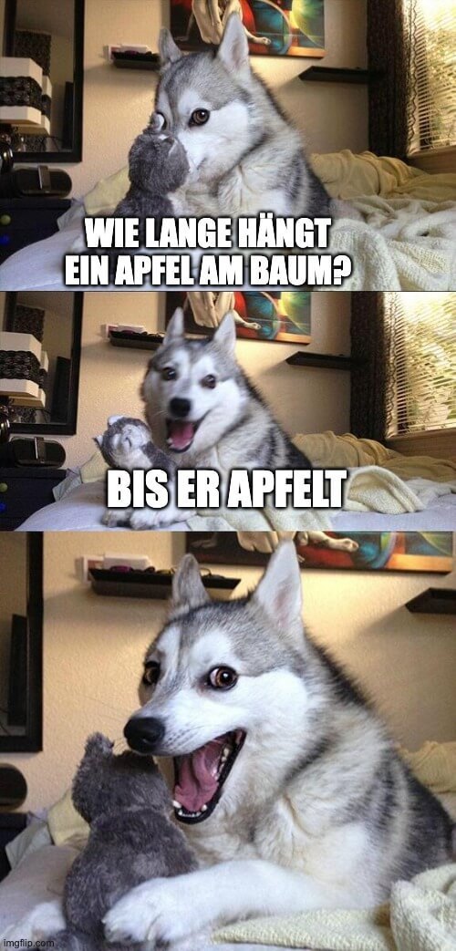 Wie-lange-haengt-ein-Apfel-am-Baum