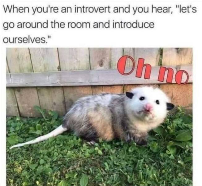 Introvert-Meme-No