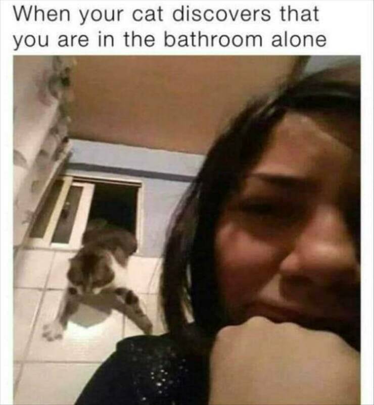 Katze-kommt-ins-Badezimmer
