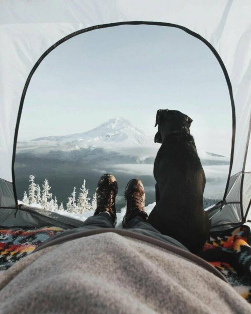 Extremes-Camping-mit-dem-Hund