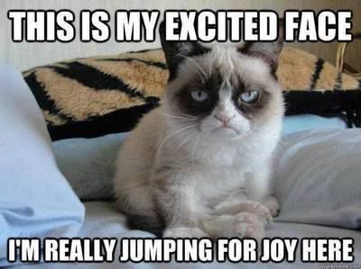 Grumpy-Cat-excited-face
