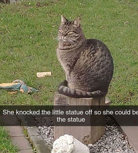 Katze-Statue