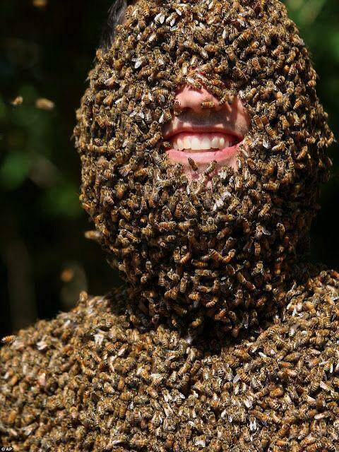 Bienen-am-ganzen-Koerper