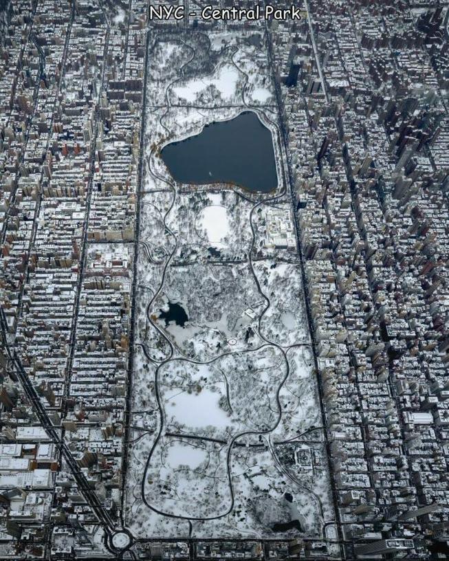 Central-Park-New-York