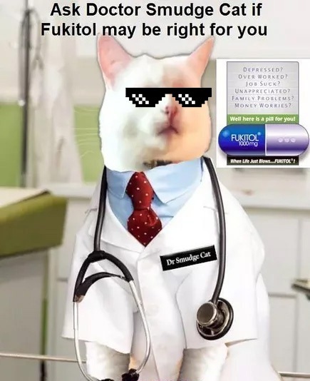 Dr.-Smudge-Cat