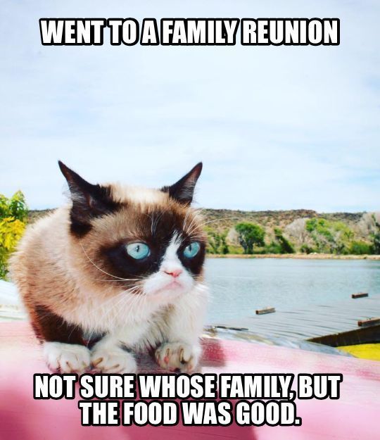 Familientreffen-Grumpy-Cat-Meme