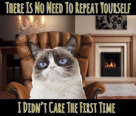 Grumpy-Cat-No-need-to-repeat