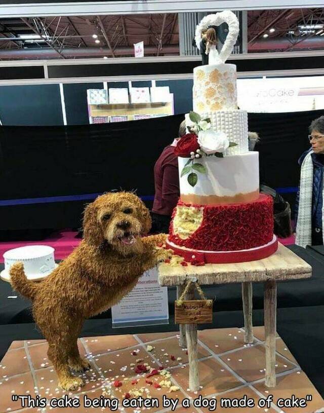 Hundekuchen