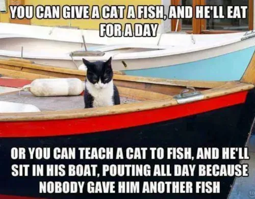 Cat-Fish-Meme