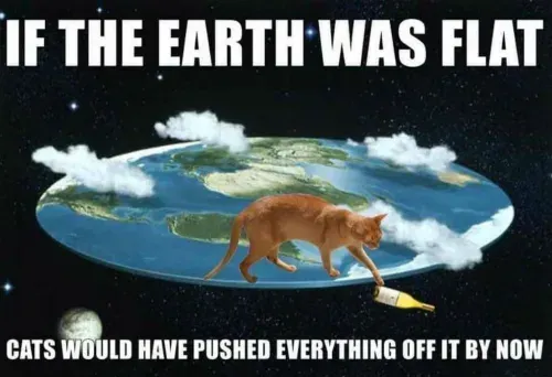 Flat-Earth-Cat-Meme