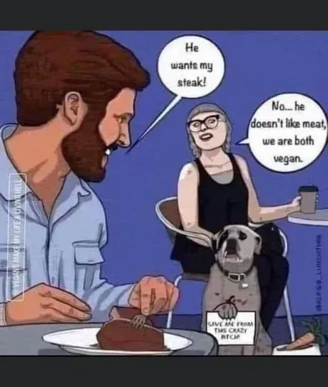 Hund-vegan