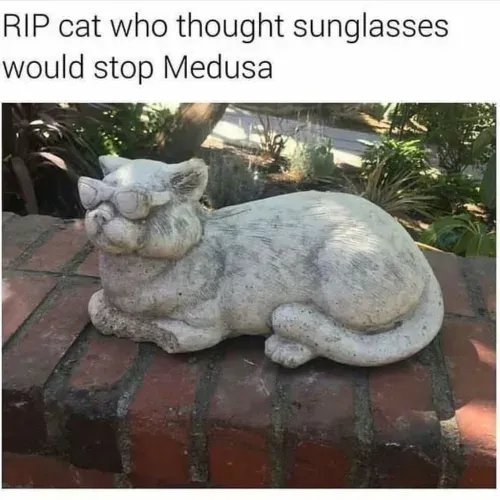 Medusa-Cat-Meme