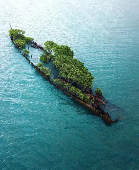 Schiffswrack-Natur