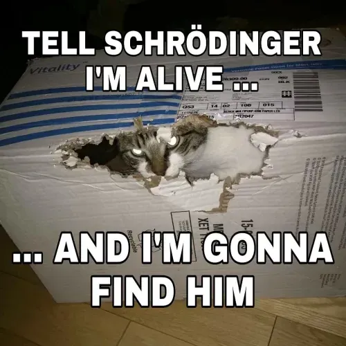 Schroedingers-Katze