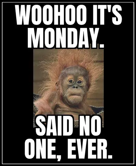 Woohoo-endlich-Montag-Meme