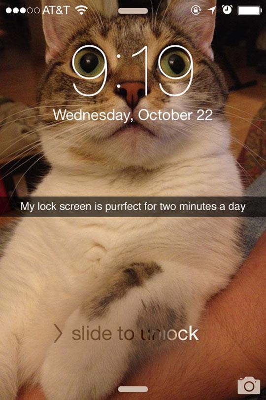Cat-Lock-Screen