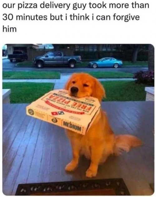 Hund-bringt-Pizza