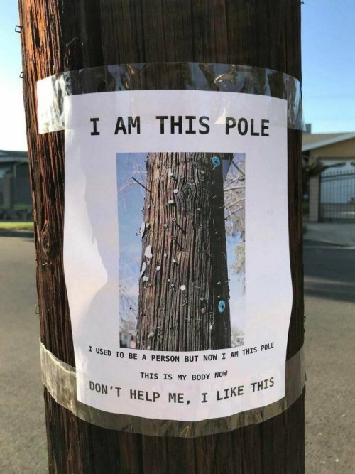 I-am-this-Pole-Body-Meme